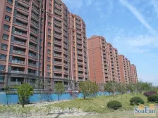 露望 少有大平层 业主挥泪 割肉急售