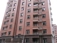 露望 少有大平层 业主挥泪 割肉急售