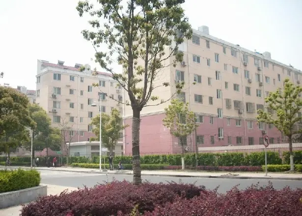 东港二村