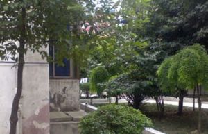 青森小区 2室2厅 北