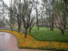 双碑 俊峰香格里拉五房188万