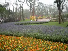 双碑 俊峰香格里拉四房195万