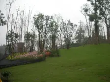 磁器口古镇 双轻轨门口 200万精装洋房 业主诚心出售