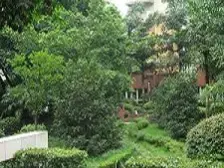 龙溪路 3室1厅 南