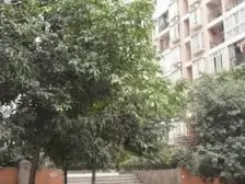 黄泥磅精装大两房,带阳台,生活便利