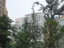 铂金云鼎 3室1厅 西南