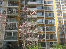 东湖大郡三期新上 小高层温馨2居室 中间位置 有地暖