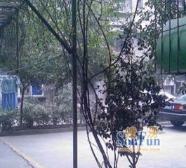 银沙路80号 2室1厅 东 西