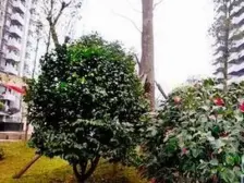 出行方便 采光充足 公交就在旁边 总价低