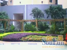 家装电梯房,出行方便,业主诚心出售