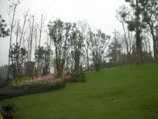 俊峰香格里拉 4室1厅 南