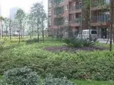 天星桥 斌鑫云景天城二房54万