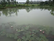 渝北清水电梯洋房 3跃前后花园 环境优美 出行方便