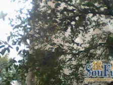 大坪轻轨站 大坪村正规两房 带私人露台