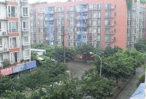 香木林竹园居 3室2厅 东南