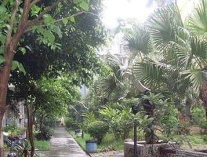 香木林竹园居 3室1厅 东南