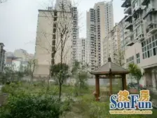 杨家坪步行街内,出行方便,配套齐全。