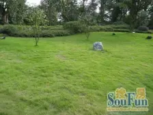 至圣宫 2室1厅 西北