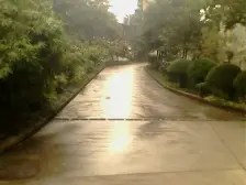 大渡口区阳明华庭2房出售...........