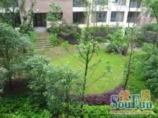 茶园新区 长盛花园三房75万