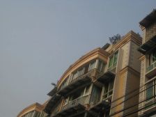 聚贤半岛花苑2室1厅东北