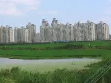 近地铁 电梯房 必看好房