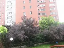 以古北壹号相邻,总价低,电梯房,全明格局边套户型!