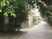 国信滨河雅居 3室2厅 东