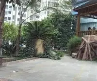 南坪南滨路大3房有屋顶花园业主诚心出售