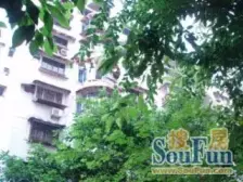 花卉园 花卉勇智苑三房92万