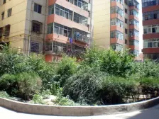 东岗东路主干道 正规两室两厅 可gai三个卧室 中间楼层