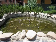 世纪新村精装电梯房 业主诚心出售 随时可看