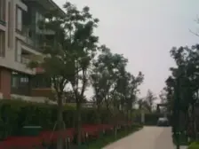 浦江·一品漫城(二期公寓)·2室·1厅