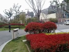 双拼别墅带电梯,南北大花园,精装修,近地铁8号线