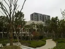 前滩南 洋房4楼带露台 230万装修一天未住 落地采光