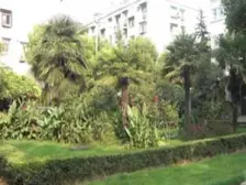 全明一梯两户+精装南北2房+3轨交汇+万科龙华荟+近徐滨江