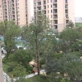 浦东星河湾 4室3厅 南