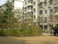 华泾·华欣家园·2室·1厅