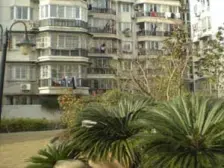 板式南北通大三房,业主诚意出售,到价签字,有阁楼