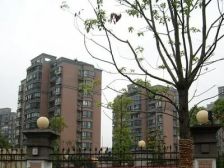 新上飞机户型三房,送产权车位,白菜心位置,业主诚售