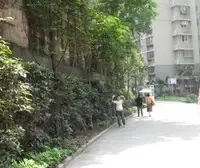 大坪 喜业花园三房170万