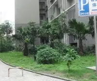 正规两房,业主安心卖,户型采光好