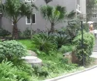 喜业花园 2室1厅 西南