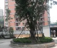 业主急售 大坪正规大2房 出行方便,出行方便。