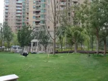 绿洲仕格维花园 6室4厅 南