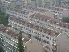 小区新出房源,放价实惠,随时看房