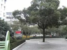 三年出一套 美丽家园小区 边套全明大院子 双轨地铁!