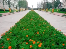 石马河 大川壹江城三房139万