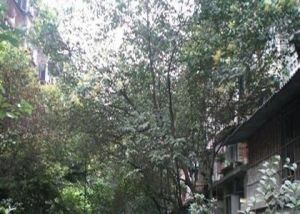 长天路16号2室1厅东