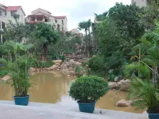 新世纪领居D区 2室2厅 东北